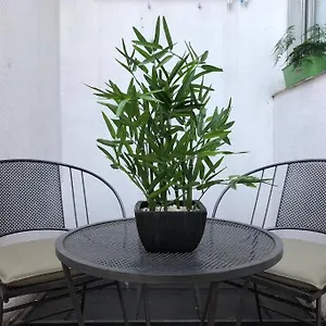 Monoambiente Calido, Luminoso, Con Cochera!!!! Apartamento Mendoza